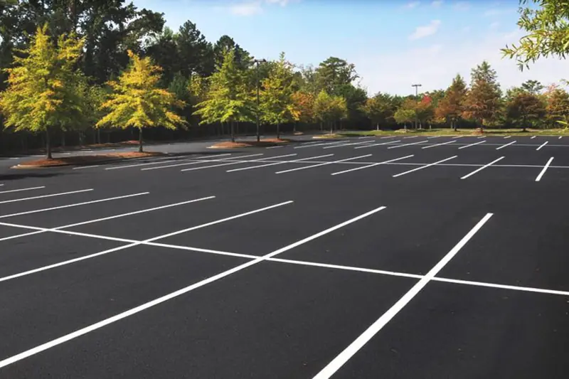 Newly striped commercial parking lot with crisp white stall lines, bordered by autumn trees